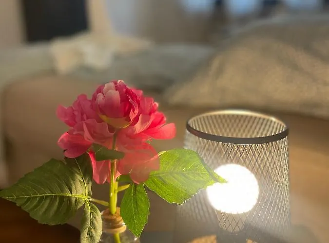 Comfortable Shared With Private In